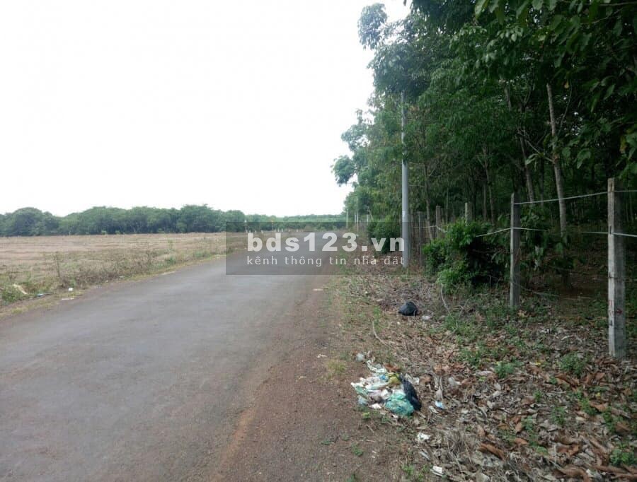 Bán đất nền tuyến 26 ngay khu công nghiệp BECAMEX Đồng phú đã có sổ hồng, sang tên làm sổ luôn