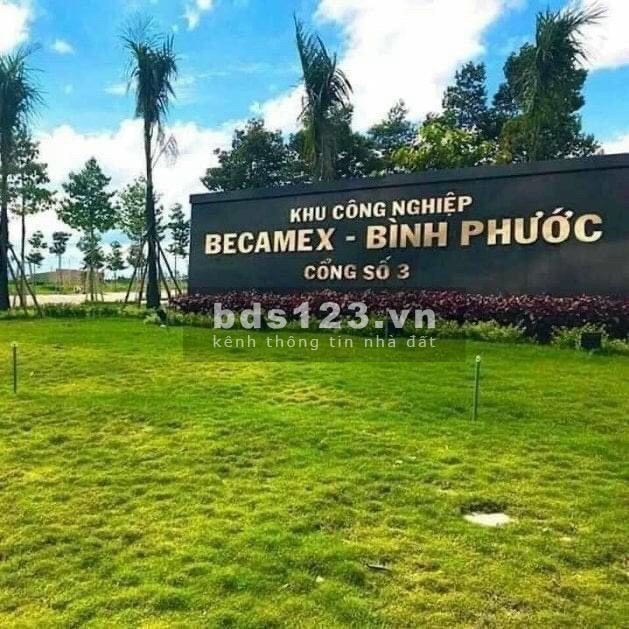 Bán Đất Nền Gần KCN Becamex Đồng Phú (Có sổ kèm cam kết mua lại lợi nhuận cao)