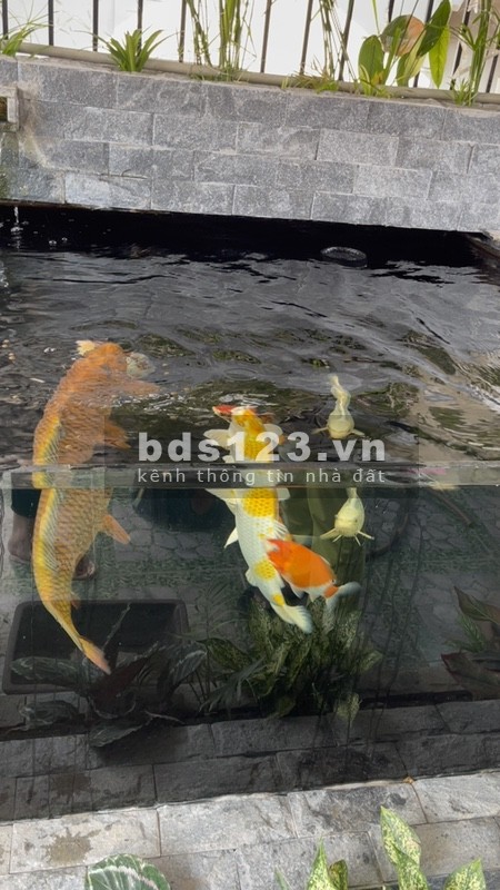 Bán Nhà Song Phương diện tích 40m2 đúc 4 tầng ngõ nông ô tô đỗ giá bán 1.9 tỉ sổ sẵn