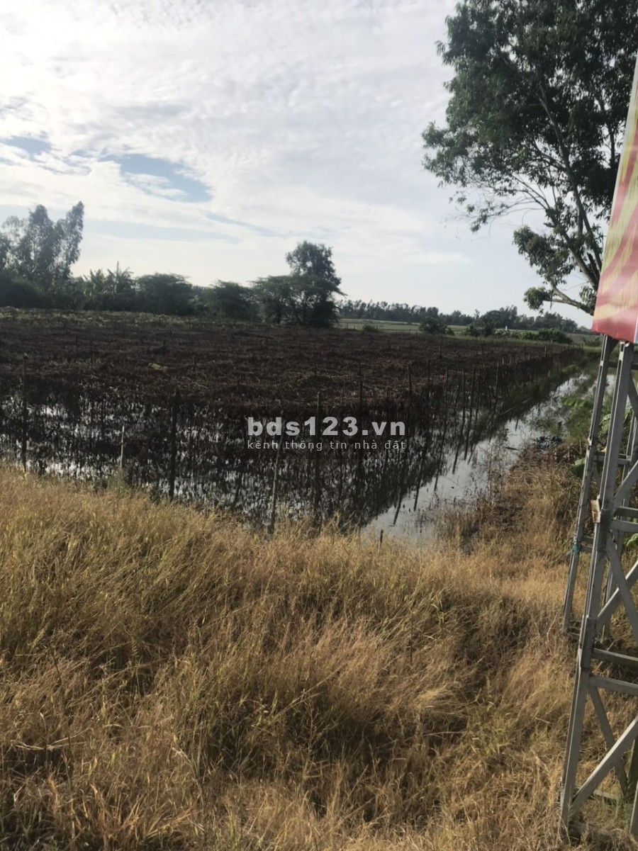 Đất nền 1600m2 mặt tiền, trung tâm Cờ Đỏ, 200m2 thổ cư Cần Thơ giá bán chỉ 3.2 tỷ