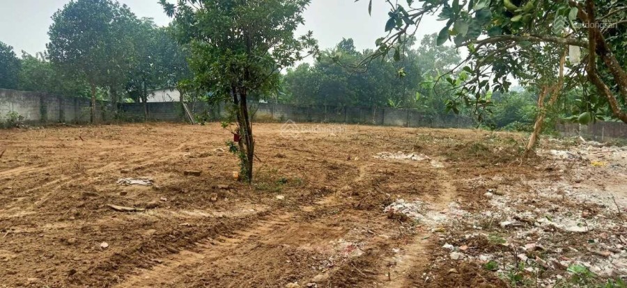 Bán lô đất 865m2 đất gần khu công nghệ cao Hoà Lạc có thể chia lô, liên hệ 0986997230