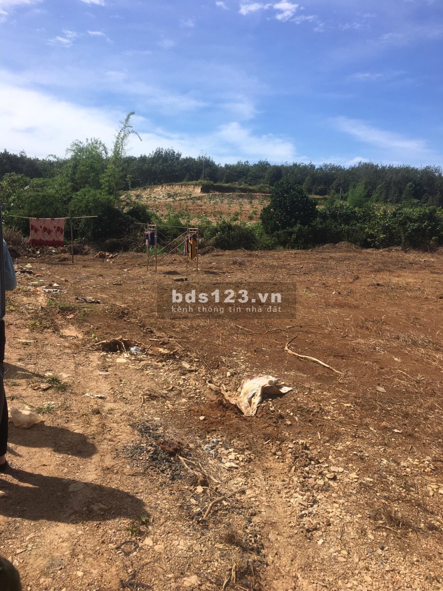Đất nền đã có sổ khu vực Becamex Đồng Phú 6300ha, cam kết thu mua sau 6 tháng