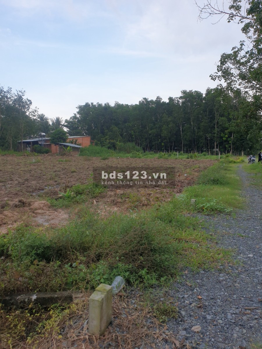 Bán lô đất chính chủ siêu lợi nhuận tại Gò Dầu Tây Ninh, giá bán chỉ 259 triệu, pháp lý đủ