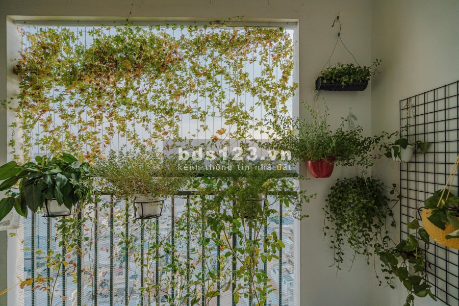 PKD Nova chuyển nhượng & cho thuê căn hộ RichStar - Tân Phú đường Hòa Bình 53 m2 - 94 m2