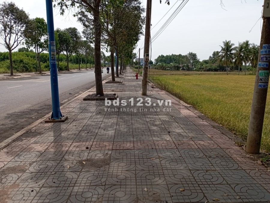Chính chủ bán gấp lô đất cực đẹp mặt tiền tại TL52 Long Tân - Đất Đỏ - BR Vũng Tàu