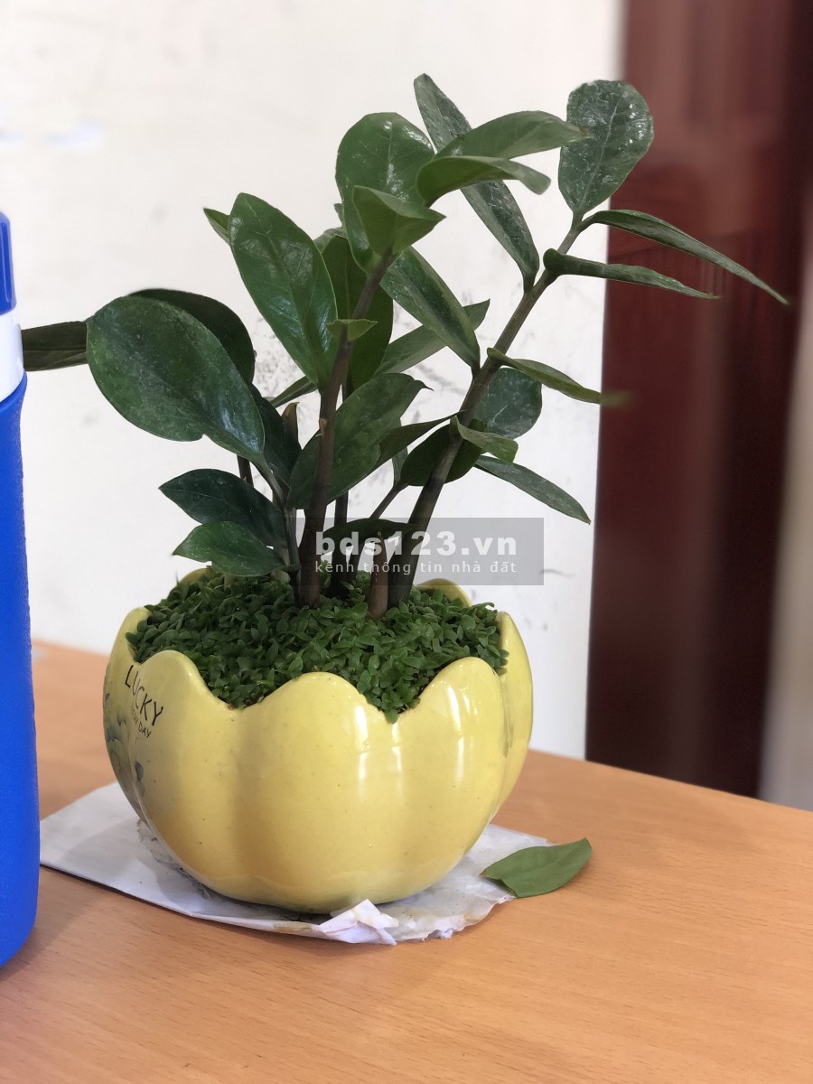 Đất Đồng Tiến Đồng Phú tỉnh Bình Phước sổ sẵn pháp lý đầy đủ, hỗ trọ ngân hàng, lhcc