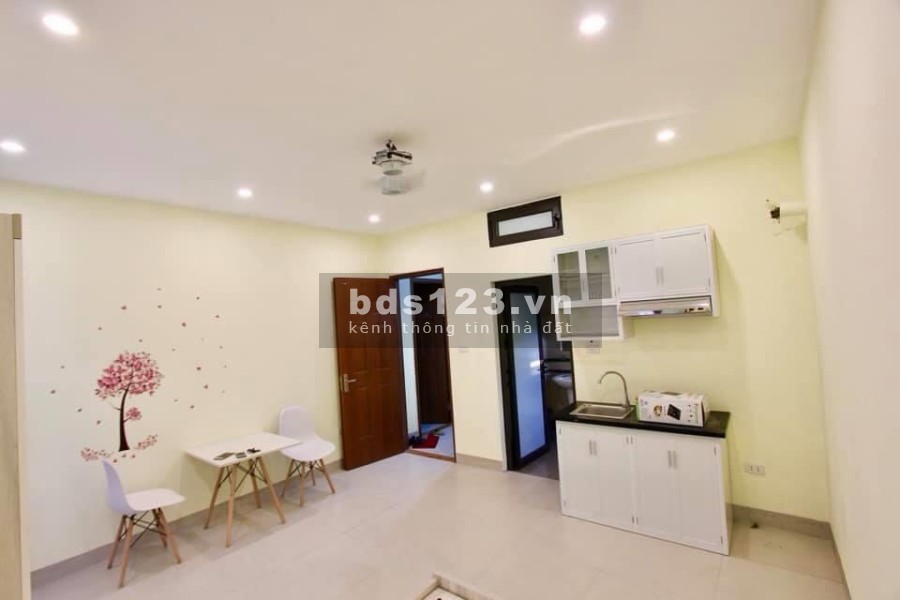Cho thuê chung cư mini Đội Cấn Quận Ba Đình liên hệ 0985280298, khu an ninh, yên tĩnh