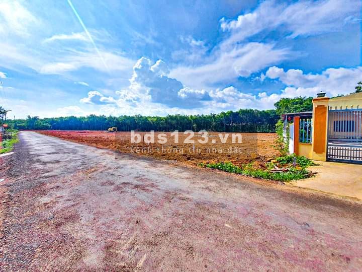 Cần bán 2 nền đất thổ cư trong Khu TTHC Tân Hưng, Mặt tiền đường nhựa QH 19m liền kề KCN Becamex