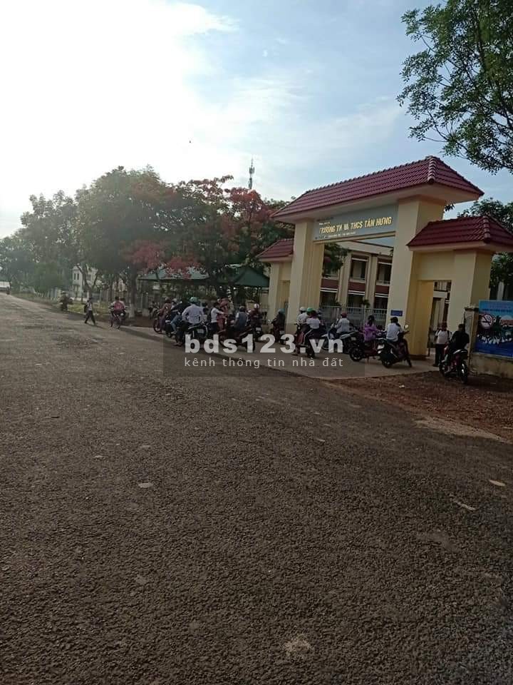 Cần bán 2 nền đất thổ cư trong Khu TTHC Tân Hưng, Mặt tiền đường nhựa QH 19m liền kề KCN Becamex