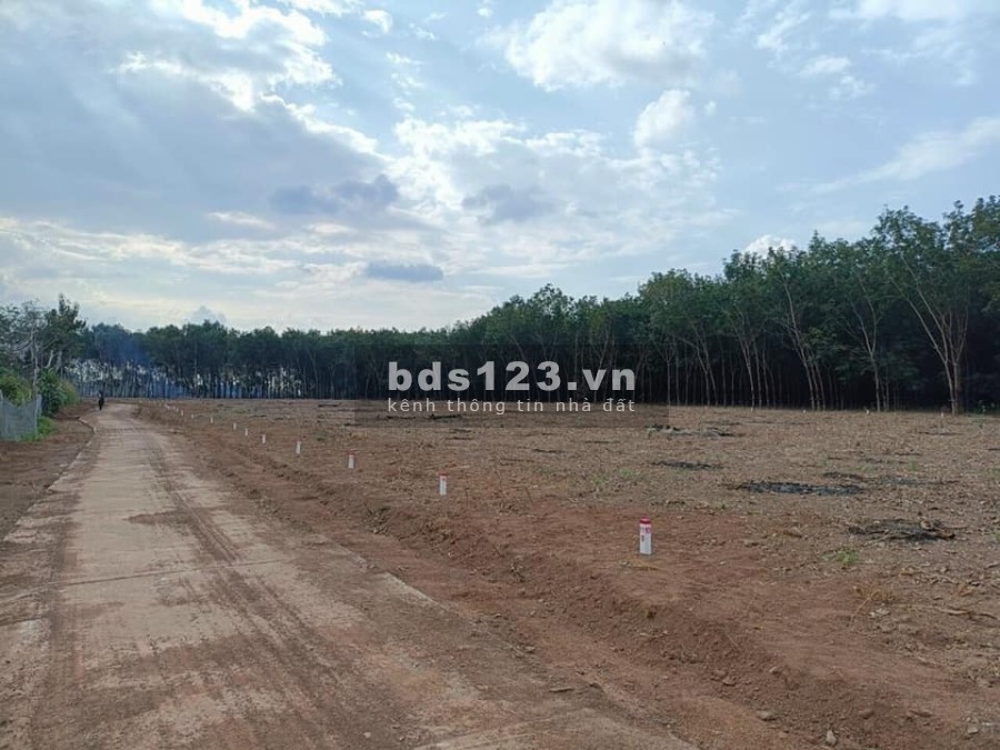 Đất nền Lộc Thịnh - Lộc Ninh - Bình Phước giá bán chỉ 465 triệu/nền pháp lý chính chủ