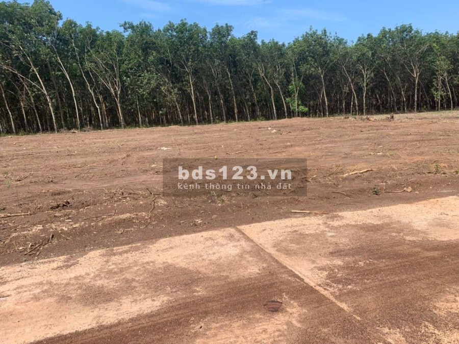 Đất nền Lộc Thịnh - Lộc Ninh - Bình Phước giá bán chỉ 465 triệu/nền pháp lý chính chủ