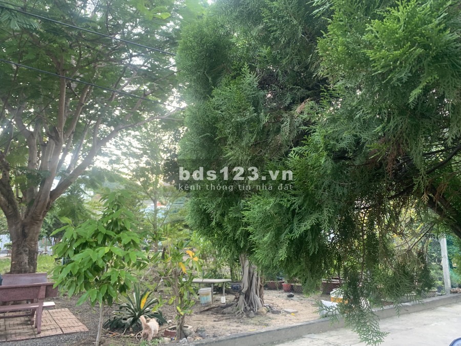 Bán nhà 2 tầng Khu vực Hòn Xện - Nha Trang giá bán 6 tỷ, thương lượng chính chủ