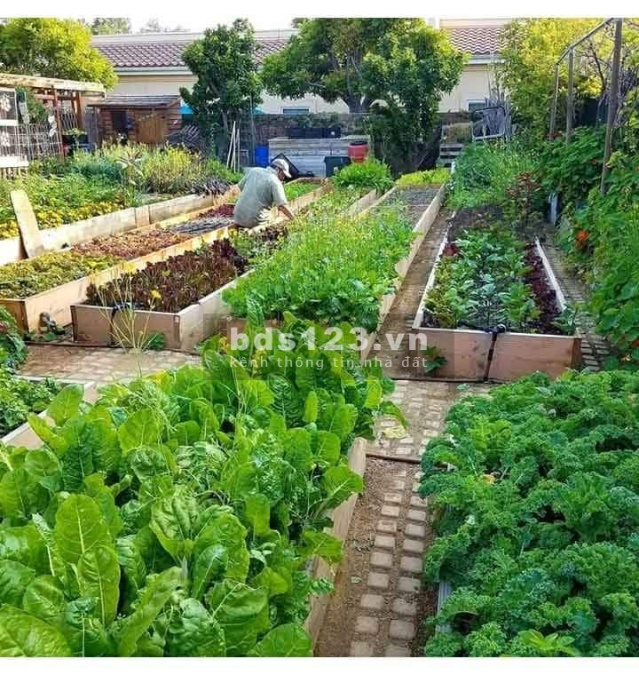 Bán đất Phước Bình xây nhà vườn ngay khu dân cư sầm uất nhất sổ riêng, giá tốt đầu tư