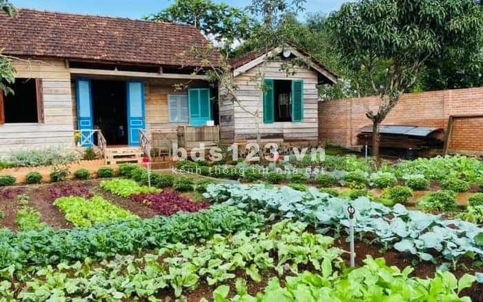 Bán đất Phước Bình xây nhà vườn ngay khu dân cư sầm uất nhất sổ riêng, giá tốt đầu tư
