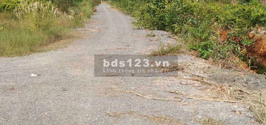 Bán đất hẻm một sẹt Đường Hùng Vương, Nhơn Trạch, Đồng Nai dien tich 1200m2 giá 4.5trieu/m2