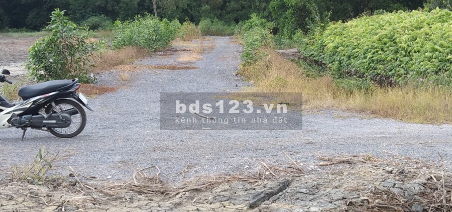 Bán đất hẻm một sẹt Đường Hùng Vương, Nhơn Trạch, Đồng Nai dien tich 1200m2 giá 4.5trieu/m2