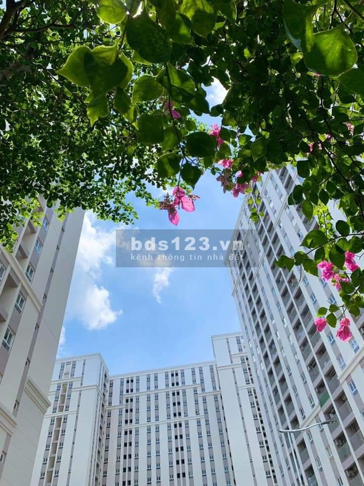 Cho thuê căn hộ 2 phòng ngủ, chung cư Imperial Place Bình Tân, đầy đủ tiện ích an ninh