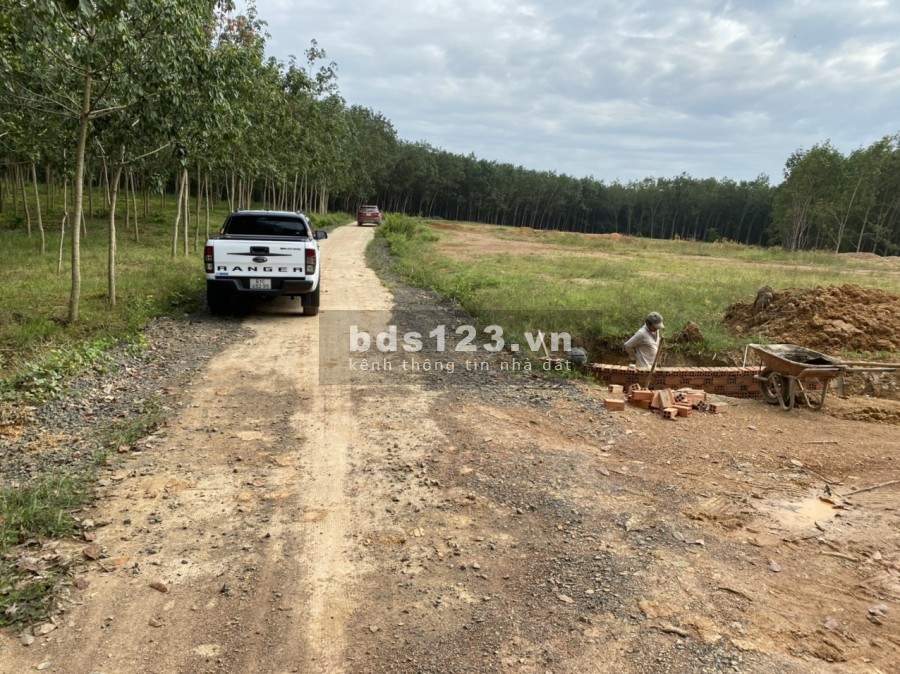 Đất nền Đồng Phú diện tích sử dụng 250m2 giá 400 triệu tiện ích đầy đủ, khu dân cư đông đúc