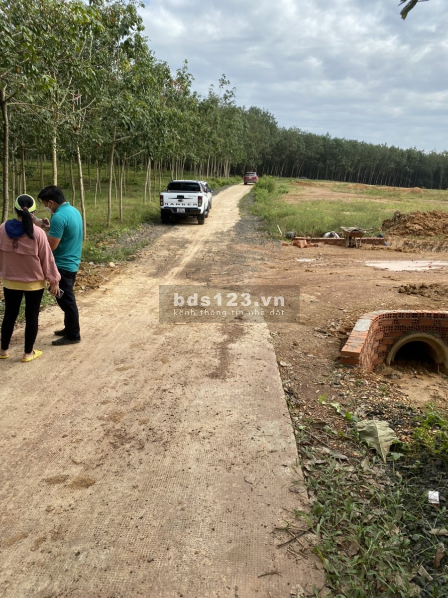 Đất nền Đồng Phú diện tích sử dụng 250m2 giá 400 triệu tiện ích đầy đủ, khu dân cư đông đúc