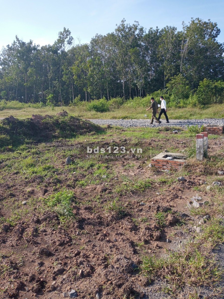 Đất nền giá rẻ tặng 200 bao xi măng và ck hấp dẫn sổ hồng riêng, bàn giao ngay, giá tốt
