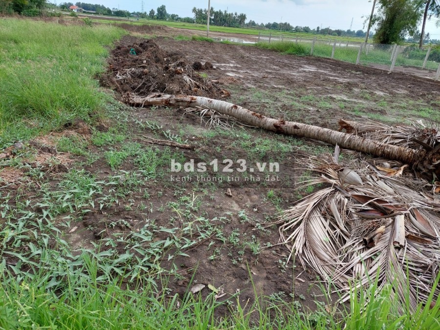 Mặt tiền đường Liên Xã Phước Vân Long Hòa liên hệ 0908867624 sổ chính chủ bàn giao ngay