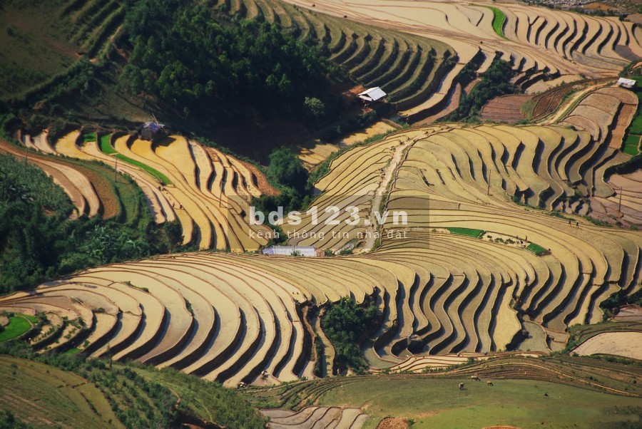 Cần bán mảnh đất hơn 4000m2 view đồi chè nằm tại Chiềng Sơn, Mộc Châu, Sơn La.
