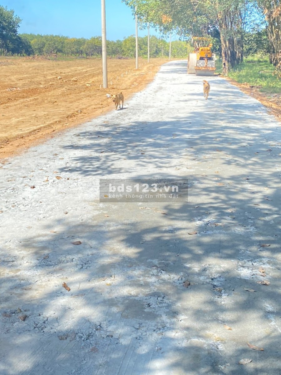 Chính chủ kẹt tiền cần bán gấp lô đất thổ cư giá 650triệu pháp lý rõ ràng, chiết khấu cao
