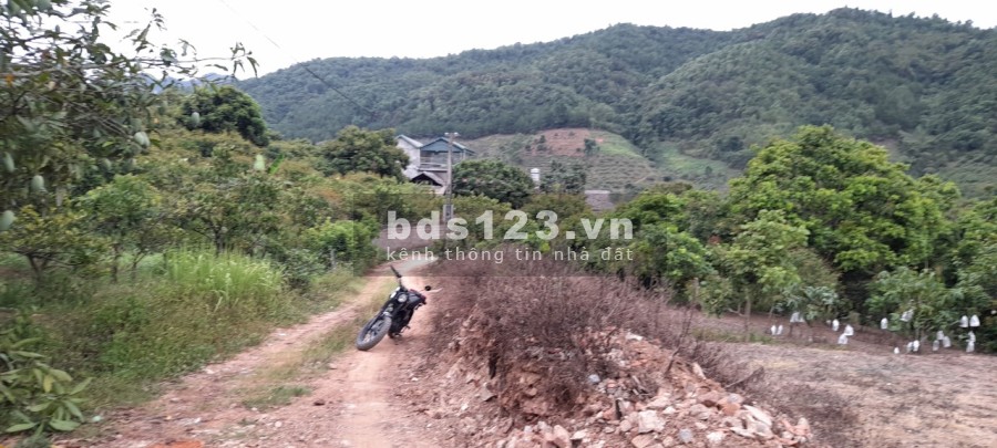 Bán mảnh đât 3000m2 tại Thái Hưng, Mường Sang, Mộc Châu bàn giao đầy đủ giấy tờ pháp lý