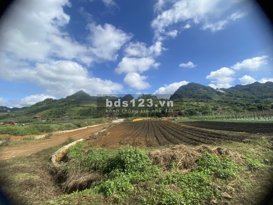 Cần bán mảnh đất hơn 4000m2 view đồi chè nằm tại Chiềng Sơn, Mộc Châu, Sơn La.