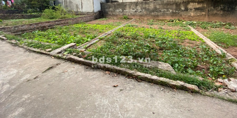Bán Đất Vân Côn diện tích 45m2, ô tô to tận đất gần chợ NVH giá bán chỉ 2x triệu/m2