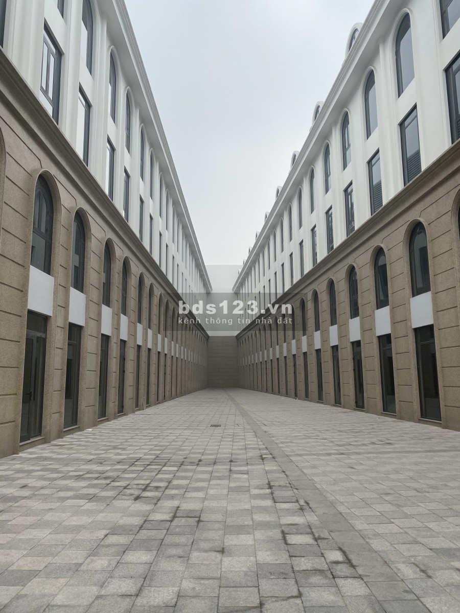 Shop thương mại dịch vụ Biển Hồ 9A Vinhomes Ocean Park giá tiện đầu tư sinh lời, lhcc