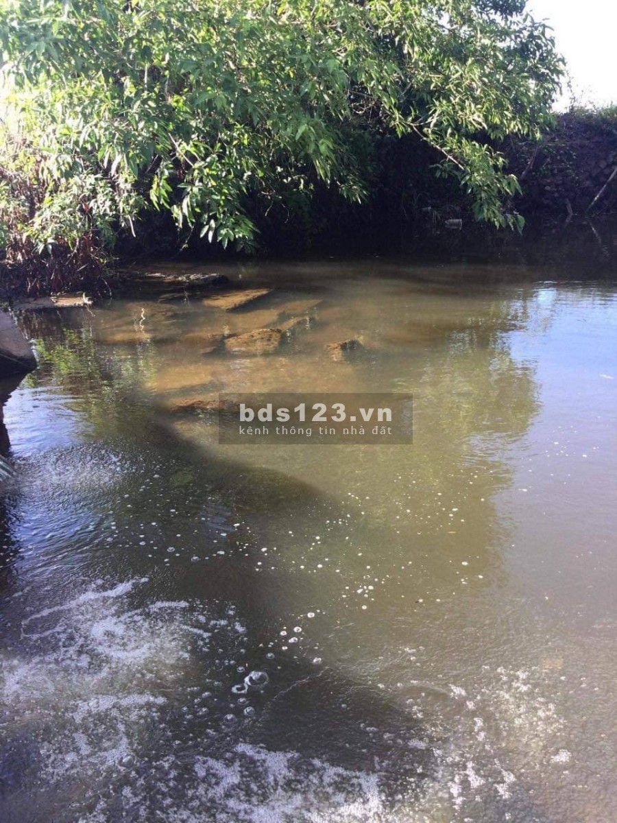 Bán đất xã Ninh Tân Ninh Hòa gần 1 hecta giá siêu rẻ đầu tư sinh lời, giá tốt, pháp lý đầy đủ