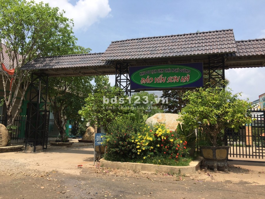 Về quê kinh doanh quán ăn, cần bán gấp 540m2 đất gần KDL Đảo Yến Sơn Hà xây nhà ở được ngay