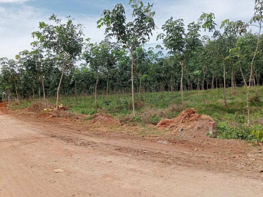 Vị trí siêu đẹp cho nhà đầu tư trong mùa dịch, Đất cách Quốc Lộ 20 chỉ 200m giá tốt đầu tư