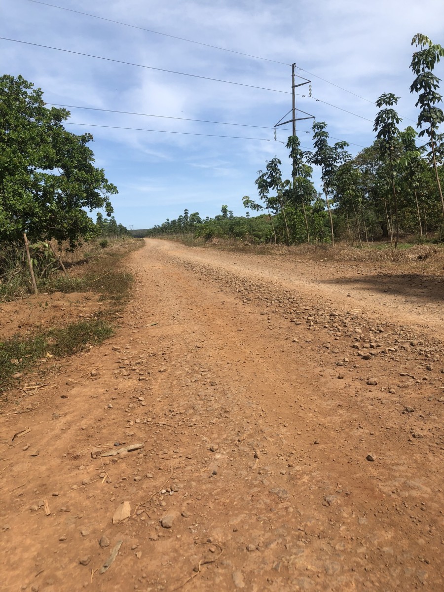 Vị trí siêu đẹp cho nhà đầu tư trong mùa dịch, Đất cách Quốc Lộ 20 chỉ 200m giá tốt đầu tư