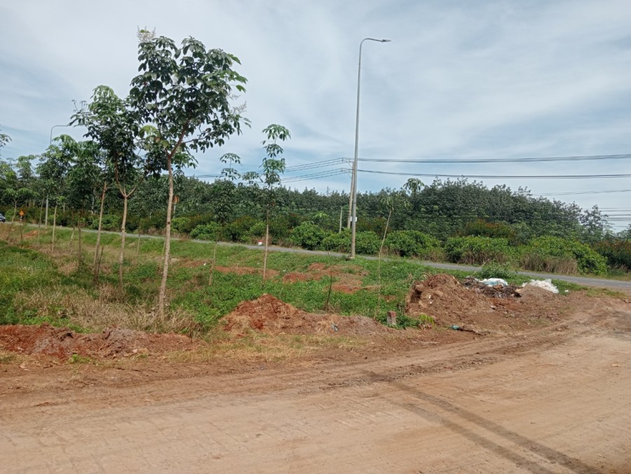 Đất Khu Công Nghiệp Túc Trưng Nhiều tiềm năng phát triển mạnh mẽ trên Quốc lộ 20