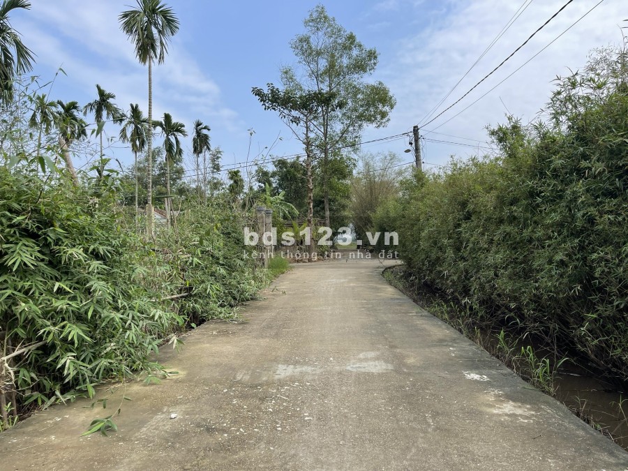 Mở bán 4 lô F0 Quảng Điền Giá 5xxtr/lô pháp lý rõ ràng, giá tốt, pháp lý chính chủ, sổ sẵn