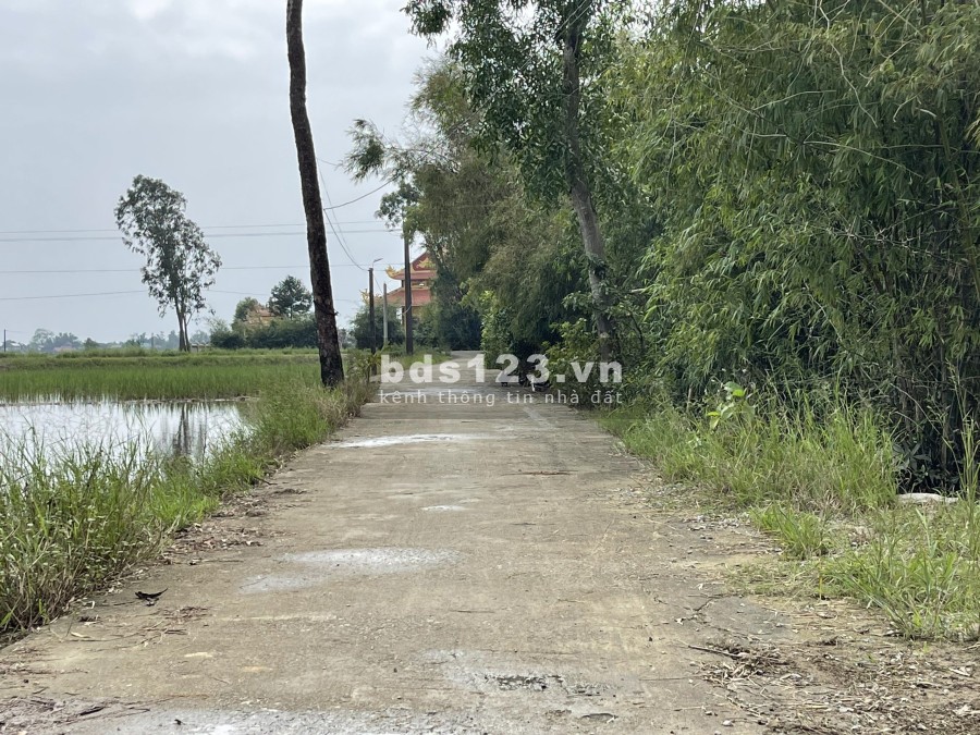 Mở bán 4 lô F0 Quảng Điền Giá 5xxtr/lô pháp lý rõ ràng, giá tốt, pháp lý chính chủ, sổ sẵn