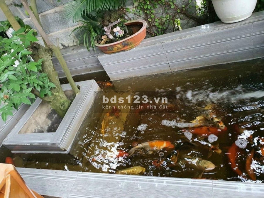 Nhà Vườn siêu đẹp gần chợ kp4 Trảng Dài Biên Hoà diện tích sử dụng 9x23m sổ hồng riêng