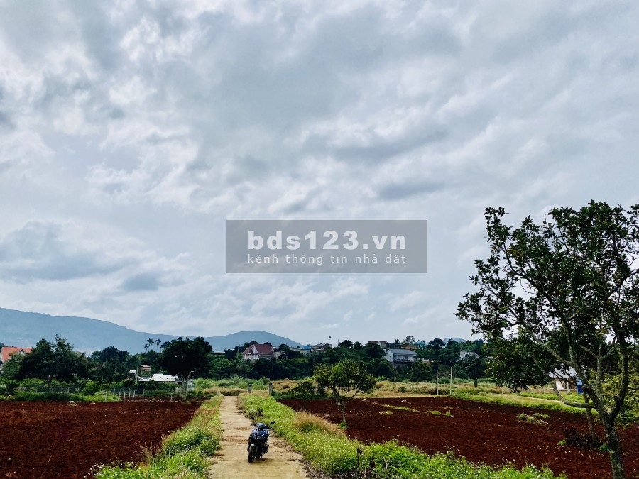 chủ nhà cần bán gấp lô đất tại thị trấn Nam Ban cam kết giá rẻ