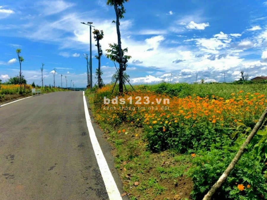 Bán đất full thổ cư đầu tư với ở đều tuyệt vời giá tốt, sổ có sẵn, hỗ trợ vay ngân hàng
