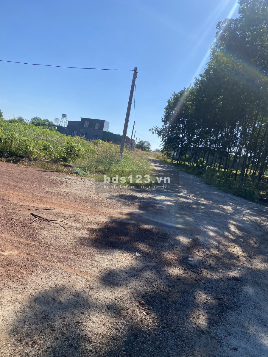 Thanh lý gấp 2 lô liền kề 500m2 mặt tiền 8m, ngay khu TTHC Đồng Phú, sổ sẵn, dân cư đông đúc