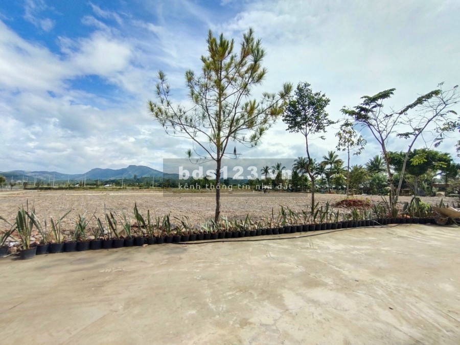 Cần bán đất ven thành phố Đà Lạt, liên hệ xem đất 0912925661, giá bán chỉ 1 tỷ/nền đất thổ cư