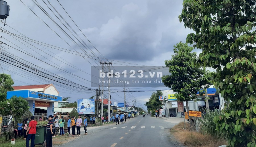 Nhà+vườn 320m Mặt tiên Tỉnh Lộ 878B Tiền Giang, giá bán đầu tư sinh lời cao, sổ sẵn