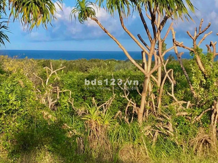 Lô đất đảo Phú Quý view nhìn thẳng ra biển diện tích 2106.9m2, giá bán chỉ 580 nghìn/m2