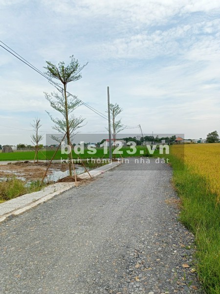 Đất Đã Phân Lô 100% Thổ Cư, Xây Tự Do Cách Ngã 3 Hòa Khánh Chỉ 500m