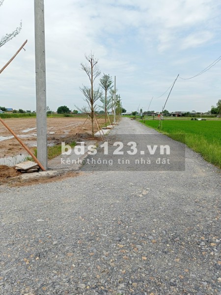 Đất Đã Phân Lô 100% Thổ Cư, Xây Tự Do Cách Ngã 3 Hòa Khánh Chỉ 500m