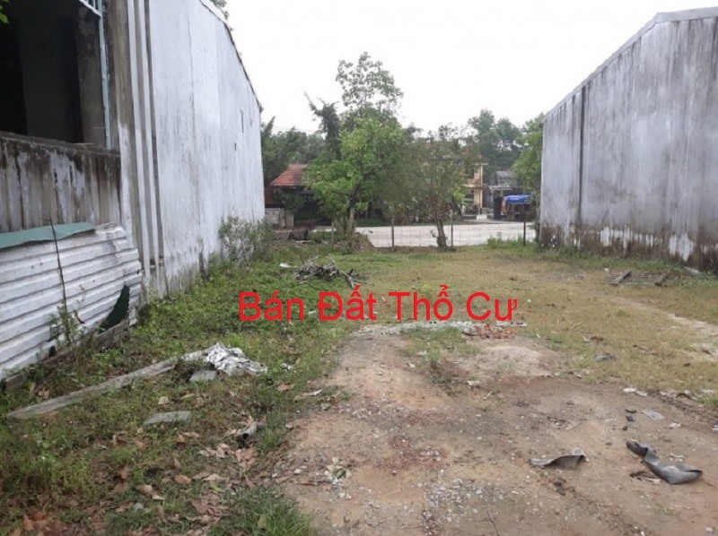 ban-dat-tai-bau-bang-100-tho-cu-co-so-rieng-gia-re_1640337667.jpg Bán đất tại Bàu Bàng, 100% thổ cư, có sổ riêng, giá rẻ