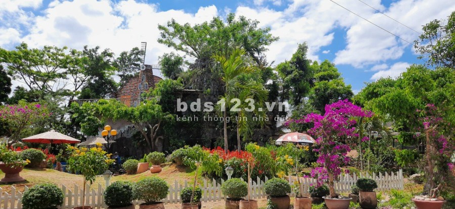 Bán Đất Lâm Hà – Đà Lạt, Đinh Văn, Lâm Đồng đường lớn, xe vào tận đất, giá tốt, lhcc