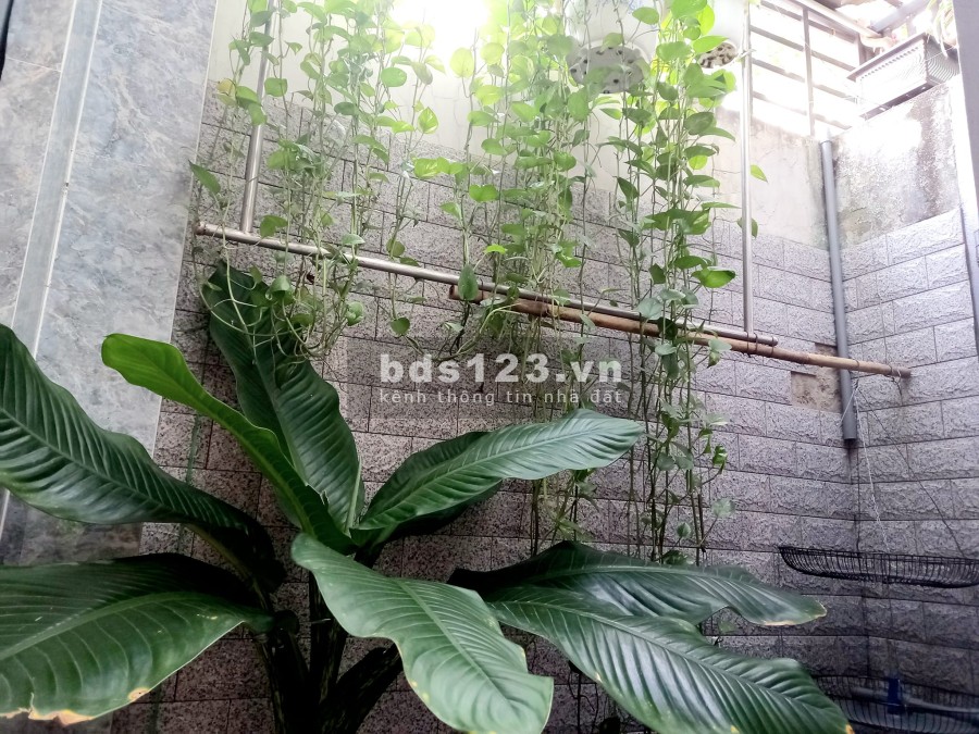 Nhà HXH Lý Chiêu Hoàng Q6, 62m2, 3.9x16, 3PN ở ngay, mặt tiền tương lai, chỉ 6.9 tỷ TL